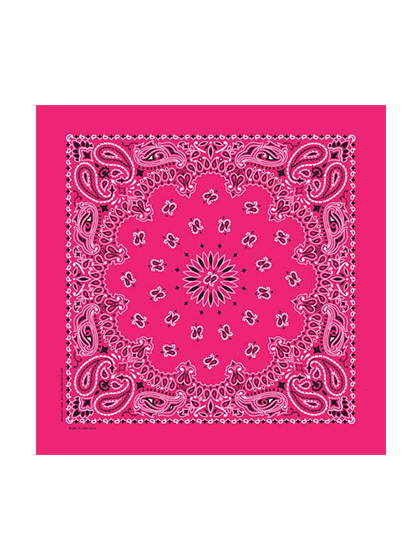 하바행크_ Traditional Paisleys [Hot Pink]